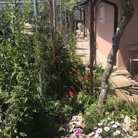 Stefanija - With Garden View